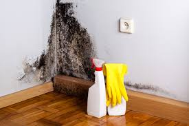 Best Forensic Mold Investigation  in Avondale, PA